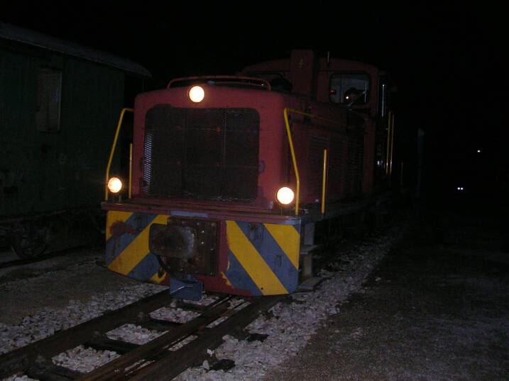 Ein Krokodil bei Nacht (Gr&ouml;&szlig;e ca. 31 kb)