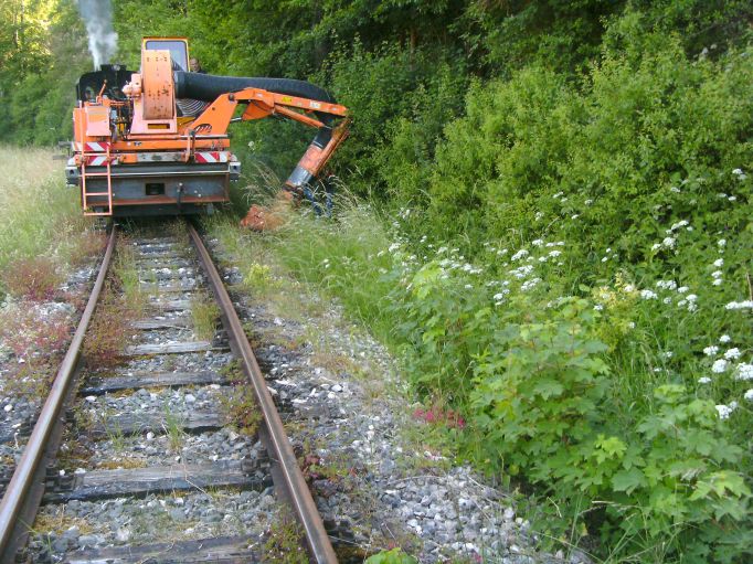 Der neue Rollbock (Gr&ouml;&szlig;e ca 49Kb)