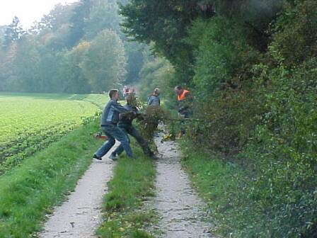 Mit vereinten Kräften (Größe ca 28 kb)
