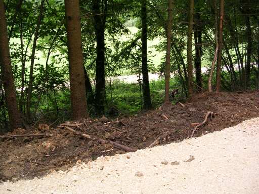 Blick vom Radweg auf die tiefer liegende Bahntrasse (Größe ca 42 kb)