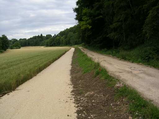 Radweg und Bahntrasse nebeneinander (Größe ca 20 kb)