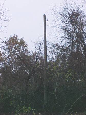 Ein Relikt der Härtsfeldbahn (Größe ca. 25 kB)