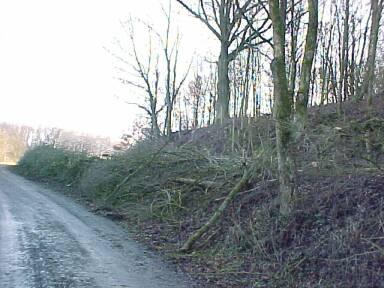Bereich des Bahnsteigs (Größe ca. 24 kB)