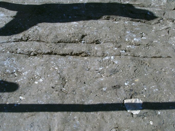 (Größe ca. 89 kB)