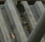 durchgerostetes Trapezblech