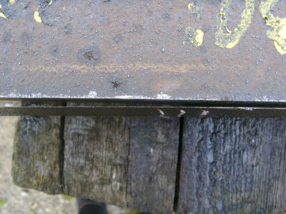 (Gr&ouml;&szlig;e ca. 49 kb)