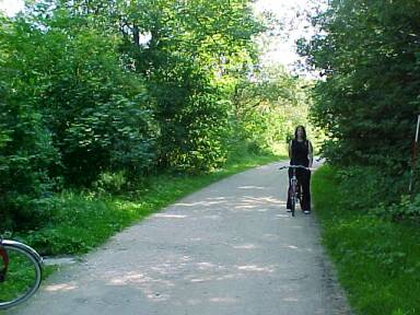 Weg Parallel zur Trasse (Gr&ouml;&szlig;e ca. 26 kB)